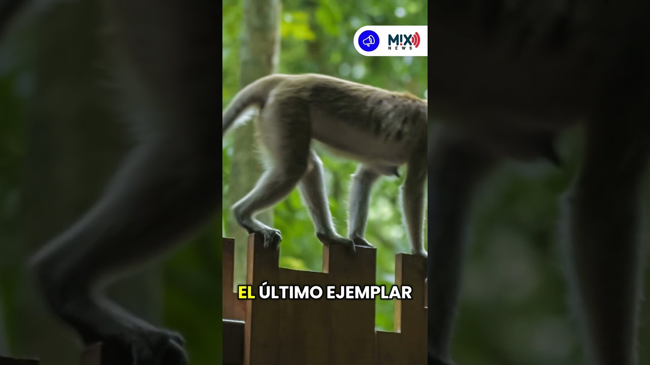 😱 Un accidente que parece sacado de una película.