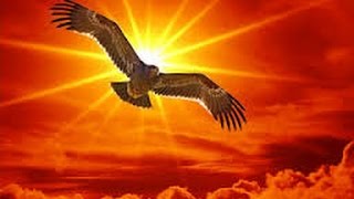 Né pour Vivre - Pierre Bachelet