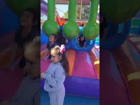Video 19