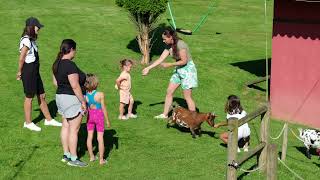 La Quintana de Romillo Vídeo