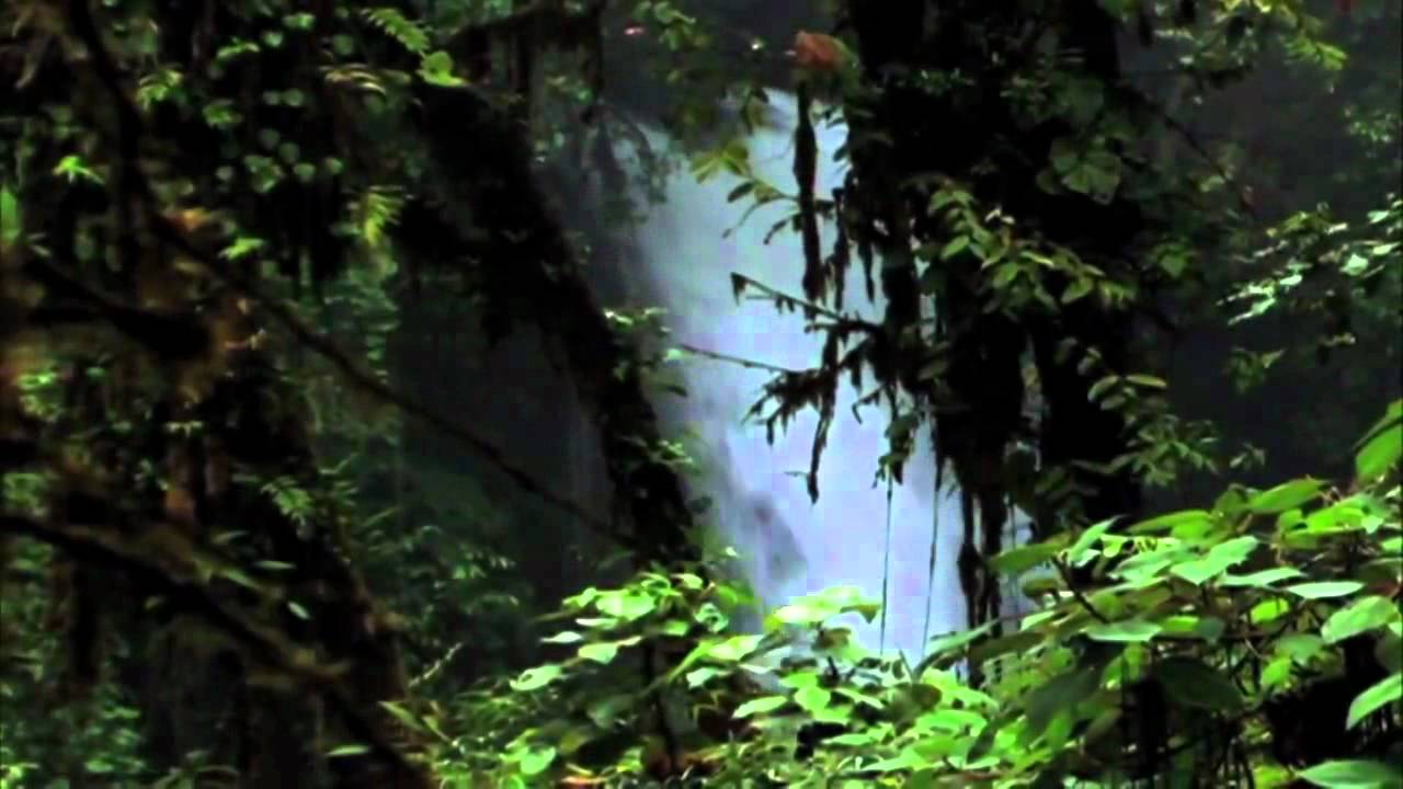 Right to Development