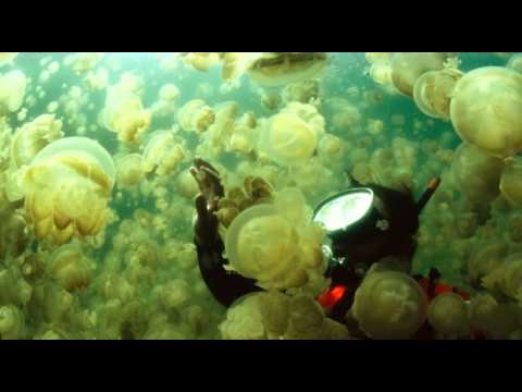 Pete Oak feat. Furns - Sparks (Original Float Mix)