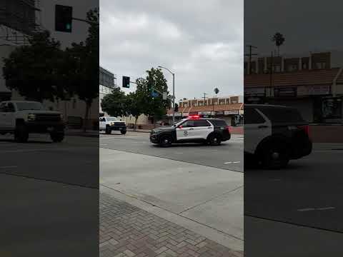 LAPD Police Sound Car Siren