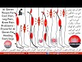 Al Quran Ruqya For Foot Pain Leg Pain Knee Pain Problems Powerful Al Quran For Healing Feet Legs