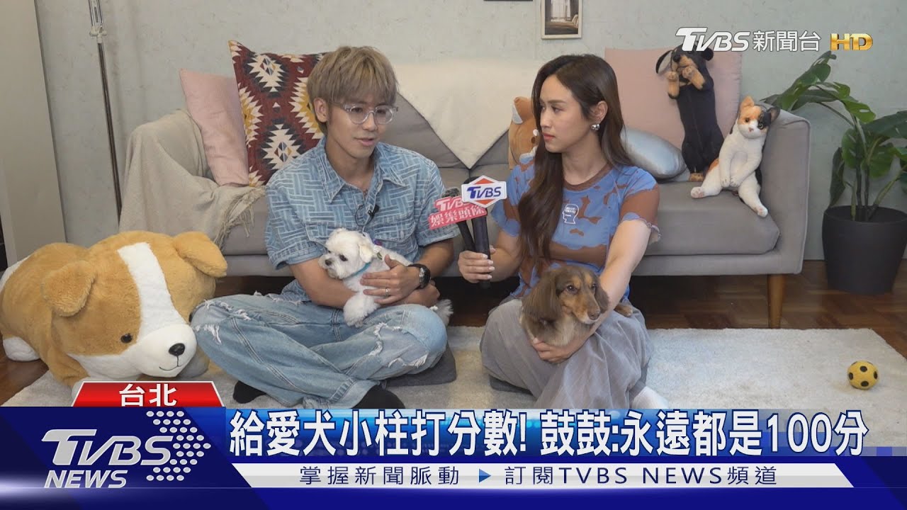 《萌寵明星粗乃玩》第五季!鼓鼓帶「愛犬小柱」超萌現身合體Sandy