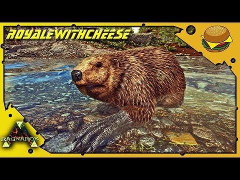 ALL THE BEAVERS! TAMING BEAVER DOEDIC TERROR BIRD - ARK: RAGNAROK [DLC GAMEPLAY E16]