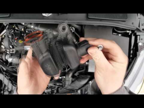 Ford Focus ST Sound Symposer Delete Explained, Is an Easy DIY