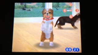 How To: Teach Your Nintendog To Beg