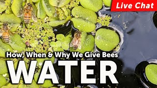 LIVE BEEKEEPING CHAT! GIVING BEES WATER - Why We Do It, How to Do It, When to Start & More!