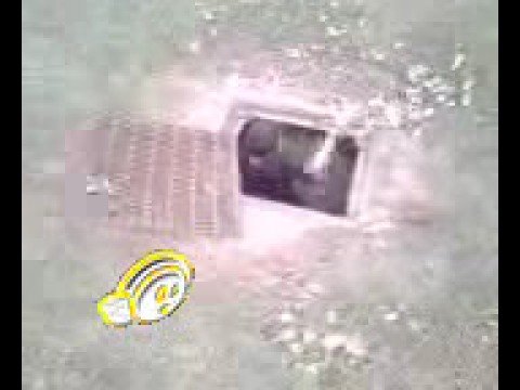 Roney's Extreme Diving