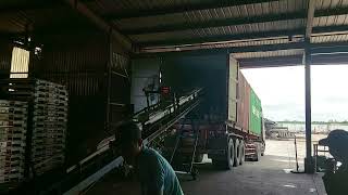 MV CT383- OCGU2056192