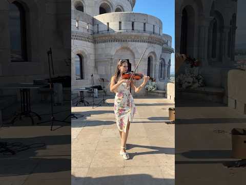 Show violin | So into you cover