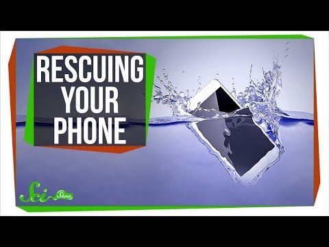 你的手機常跳水嗎？拯救溺水手機的最佳解方 (What's the Best Way to Rescue a Drowned Phone?)