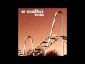 Ian Mcculloch - Playgrounds and city parks (Lyrics)