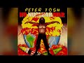 Peter Tosh, Vampires   Lyrics