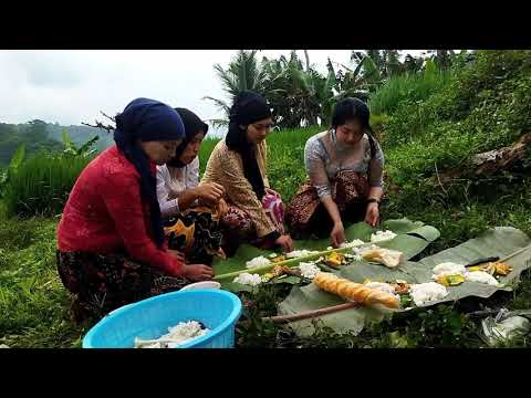 nyari tanaman eceng sawah!! di KAMPUNG sawah tengah sedap di pandang