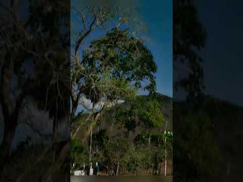 #mil #ㅇyㅇ #viral #ceará #2025 #aracoiaba #lindo #céu #lua #top #shortsvideo #shorts #k #noite #8585