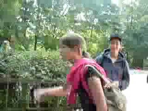 HS - Rothenburg - Pussys