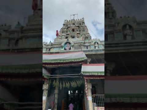 Karumari Amman Thiruverkadu gopuram darshan #shorts #tamil #amman #sakthi#navaratri#temple