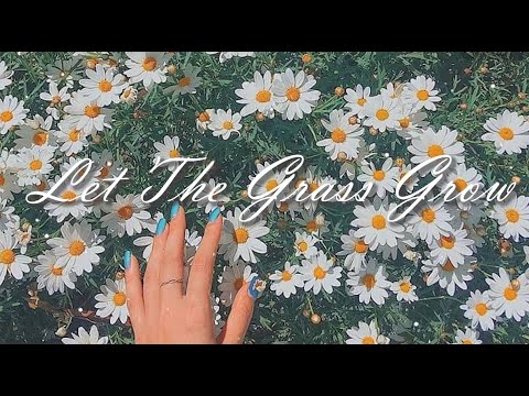 후회하기 좋은 날이야  Ruel -  Let The Grass Grow  [가사해석/번역/자막]