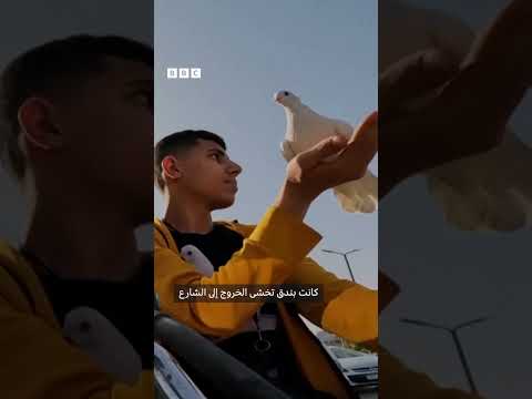 فيديو | شاهد: حمامة تطير بجانب مدربها أثناء تجواله في شوارع القاهرة المزدحمة