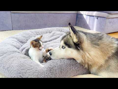 YouTube 썸네일