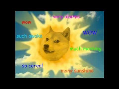 Doge Meme Ein Hund Aus Japan Erobert Das Internet