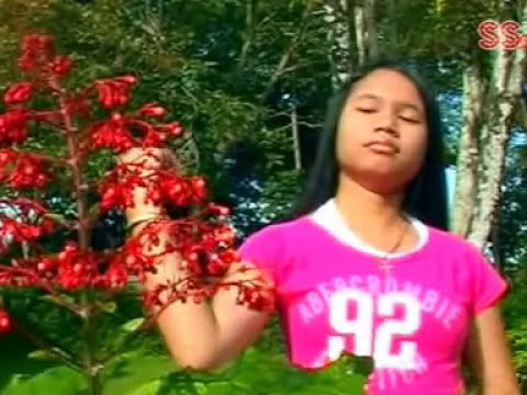 Dolis Trio - Boasa Dung Botari ( Official Music Video )