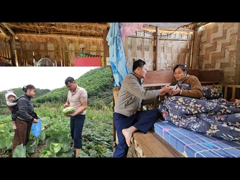 A bowl of hot porridge and the belated concern from her ex-husband. Ly Vy Ca 