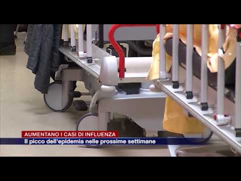 Etg - Aumentano i casi di influenza, il picco dell'epidemia nelle prossime settimane