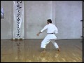 Enpi Efthimios Karamitsos Karate Kata Shotokan