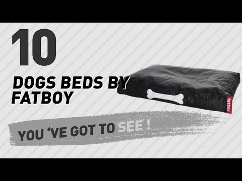 download lagu mp3 mp4 Fatboy Dog Bed Large, download lagu Fatboy Dog Bed Large gratis, unduh video klip Fatboy Dog Bed Large