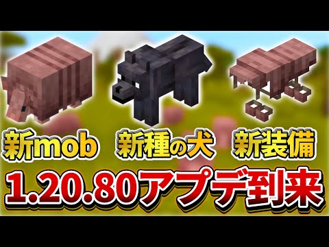 ペットとしてのアルマジロ