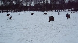 Nine Ladies stone circle Peak District Snow