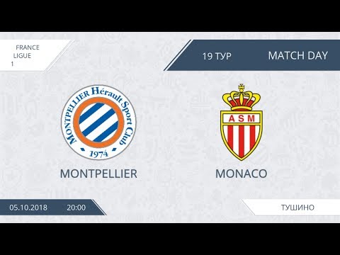 AFL18. France. Ligue 1. Day 19. Montpellier - Monaco.