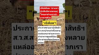 Download lagu #remix #dj #edm #music #sound #automobile #mindset #colonelkkjϟ #motivation #farmlife mp3 Download lagu #remix #dj #edm #music #sound #automobile #mindset #colonelkkjϟ #motivation #farmlife mp3