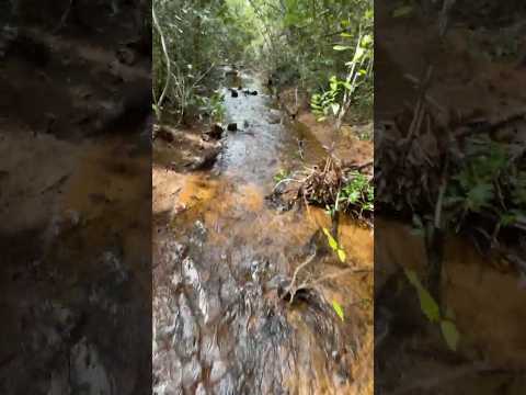 🌿 CACHOEIRA DO TEMPO 🌿