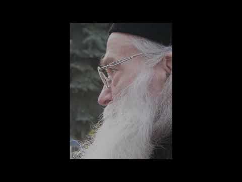 Efectele căderii - părintele Justin Pârvu