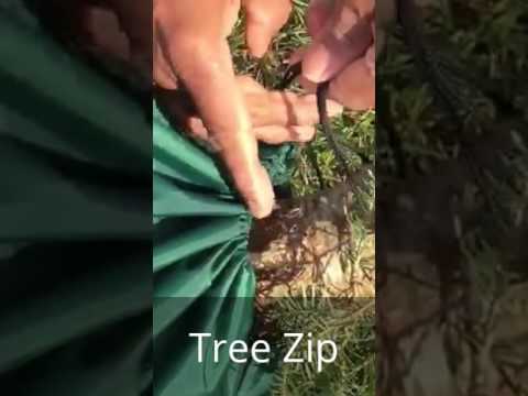 Tree Zip