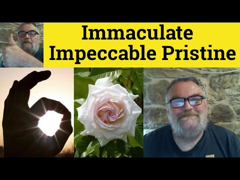 🔵 Immaculate Impeccable Pristine - Immaculate Impeccable Pristine Meaning and Examples