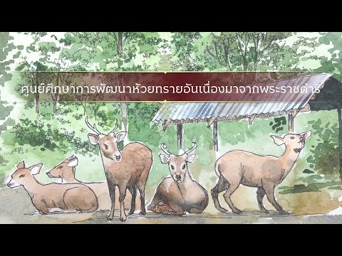 Huai Sai Royal Development Study Centre