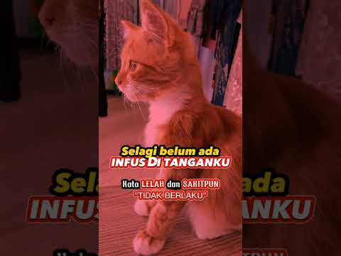 pejuang rupiah pantang berkata lelah💪💪💪