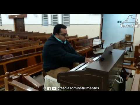 Orgão Eletrônico Tokai T1 Litúrgico - Loja Teclasom / Ribeirão Pires CCB