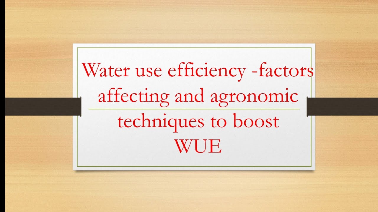 Water use efficiency -factors affecting and agronomic techniques to boost WUE |Hindi Explanation