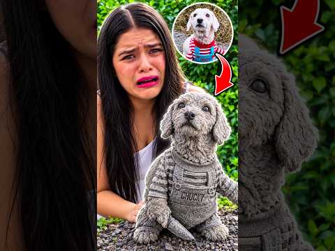 Convirtieron en piedra a mi perrito 😭🐶