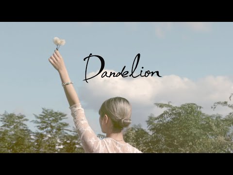 社会学科 『Dandelion』（木曜A班）関西大学社会学部メディア専攻音楽映像制作実習2024年