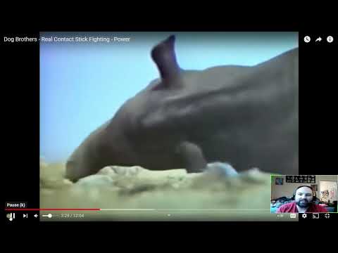 Martial Art Reacts to Dog Brothers