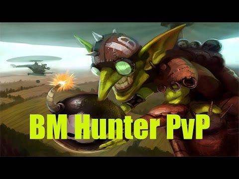5.4.8 BM Hunter 2v2 - Arena Hype - Patch 5.4