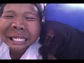 Nephew Using Your Laptop Funny Video