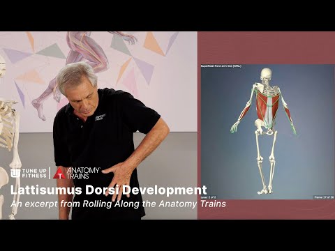 Lattisumus Dorsi Development with Tom Myers | Rolling Along the Anatomy Trains